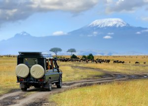 7 Day Safari to Masai Mara Game Reserve