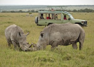 11 Day Tanzania Safari and Zanzibar Vacation