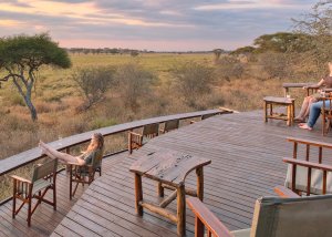 5 DAY TANZANIA PRIVATE TENTED CAMPS SAFARI