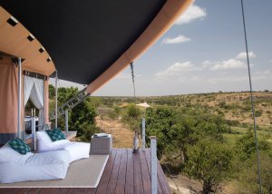 9 DAYS KENYA AND TANZANIA LODGES SAFARI
