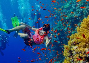 3 DAYS ZANZIBAR SAFARI BLUE EXPERIENCE TOUR