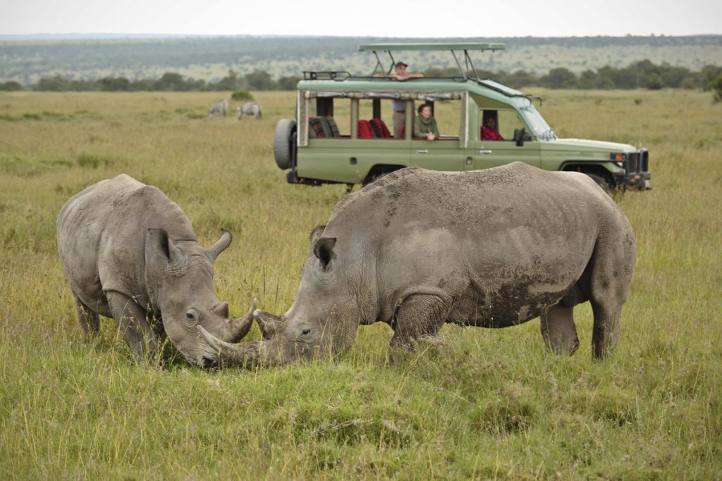 8 DAY TANZANIA BUDGET ADVENTURE BIG FIVE SAFARI