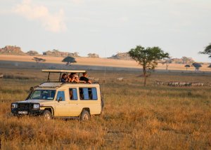 9 DAY SERENGETI ADVENTURE BUDGET CAMPING SAFARI