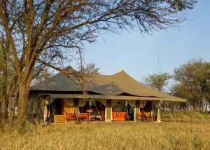 6 DAY SERENGETI BUDGET TENTED CAMPS SAFARI