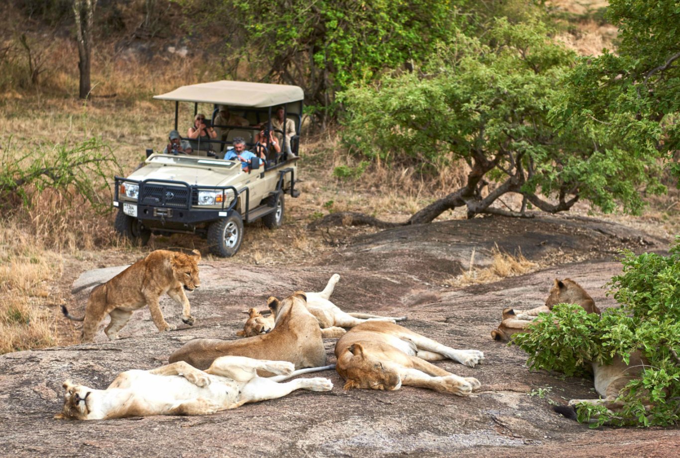 8-Day-Tanzania-Wildlife-Safari-and-Cultural-Tourism-.jpg