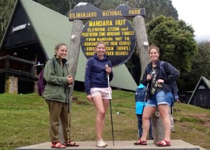 Unforgettable Mount Kilimanjaro Day Trip Expedition