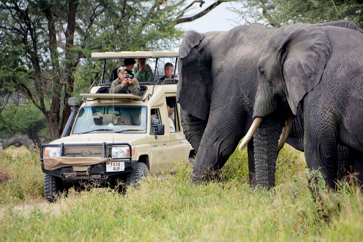 9 Day Tanzania Luxury Cultural Tourism Safari